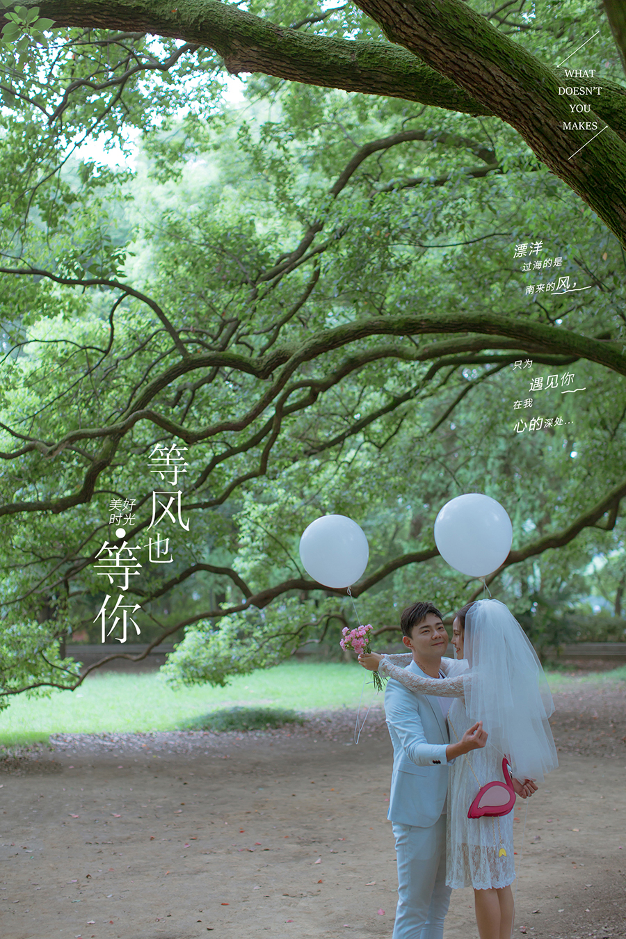 秦先生&张女士-2