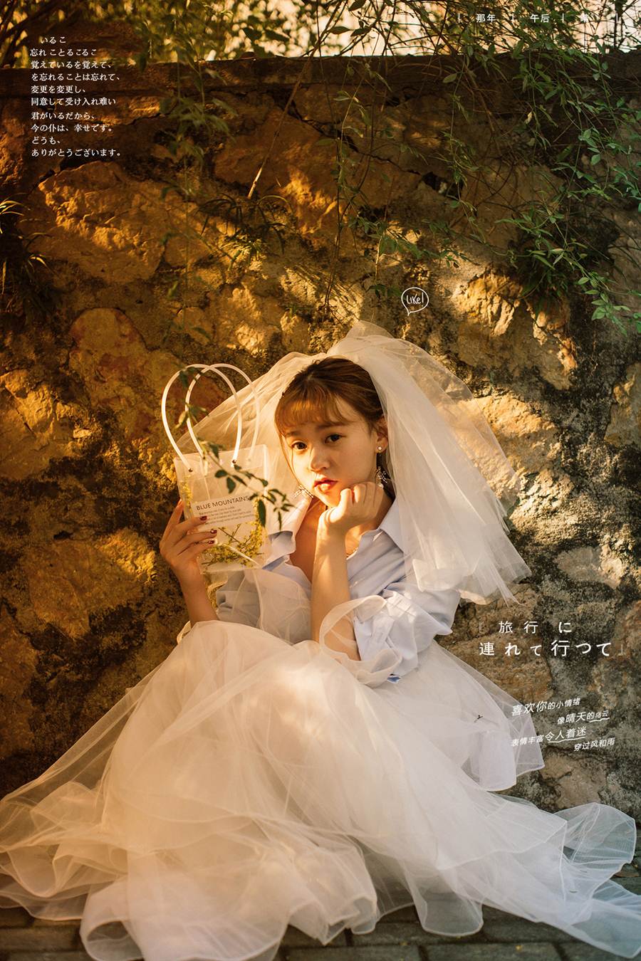 林先生&吴女士-1